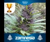 Blueberry Auto (Zam)