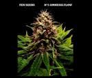 Amnesia Flow