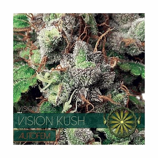 Vision Kush