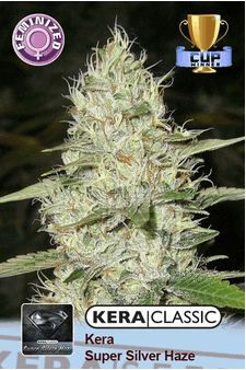 Kera Super Silver Haze