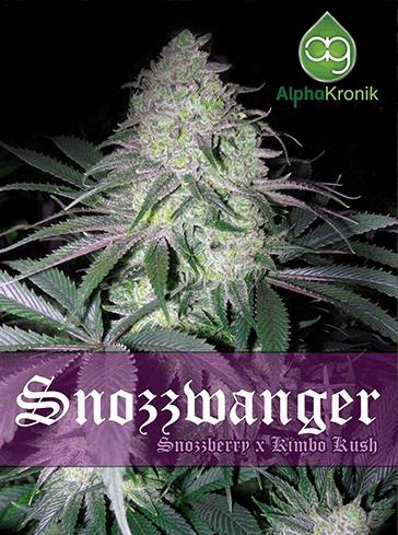 Snozzwanger