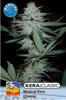 Kera Medical Cheese