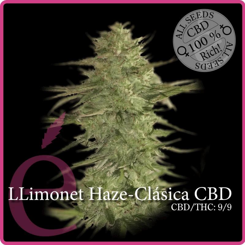 Llimonet Haze - Classique CBD