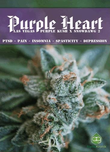 Purple Heart