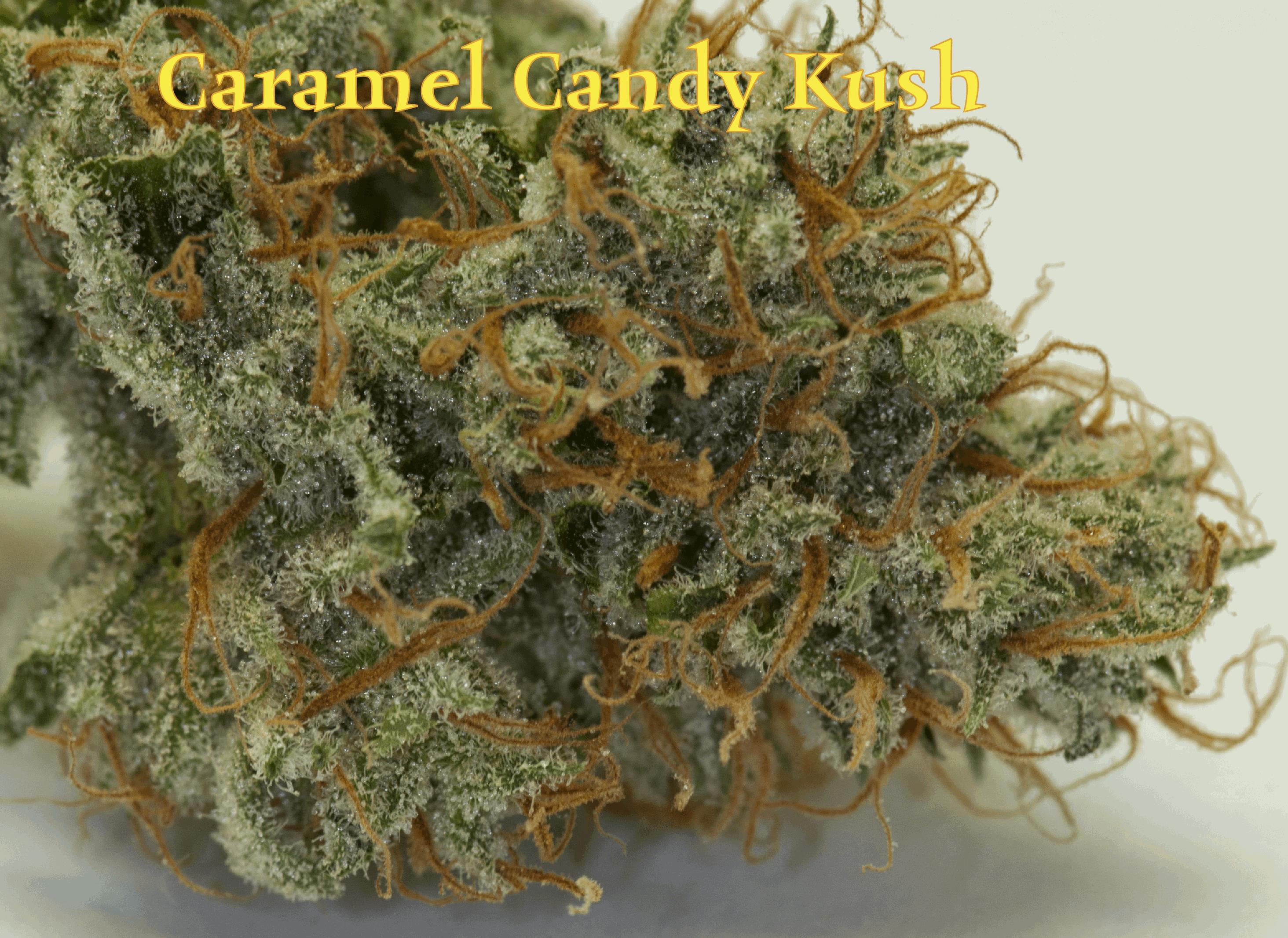 Caramel Candy Kush