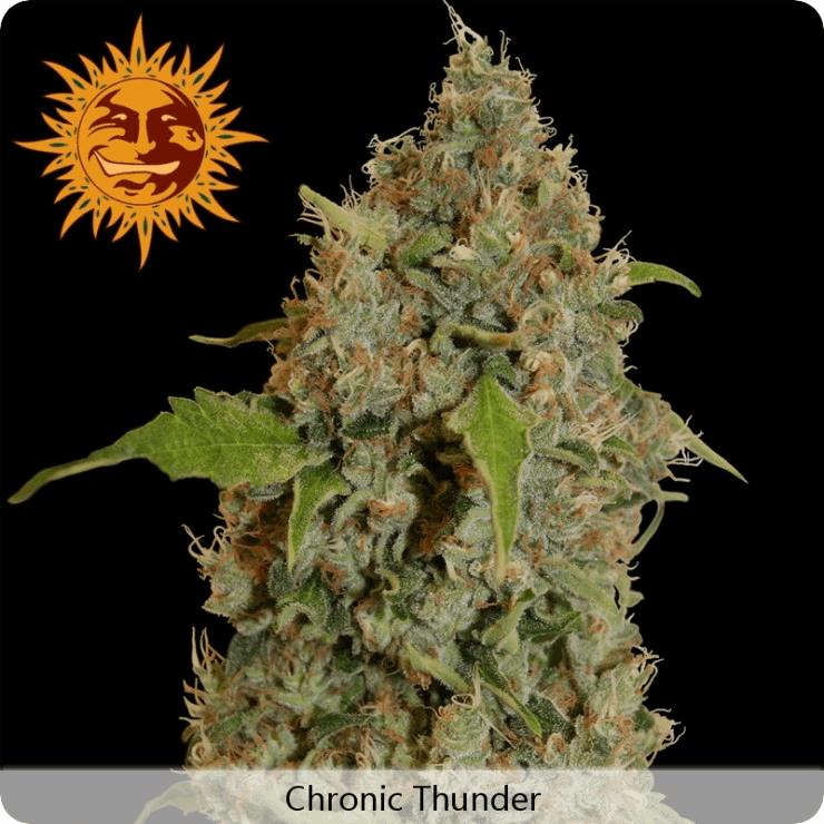Chronic Thunder