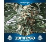 Northern Lights (Zam)