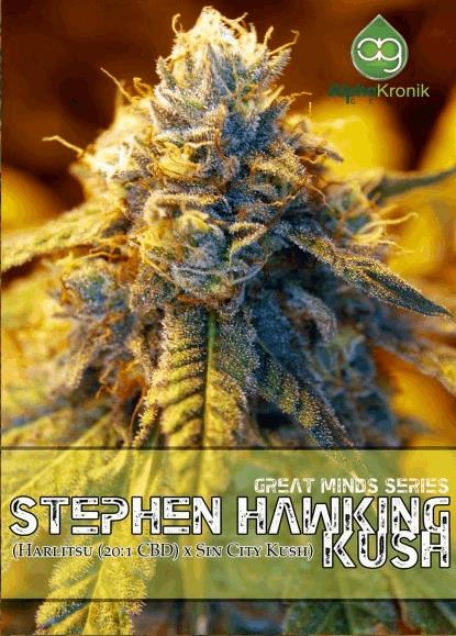 Stephen Hawking Kush