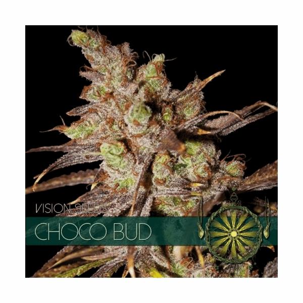 Choco Bud