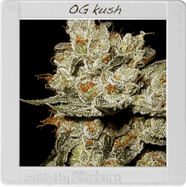 OG Kush (BBS)