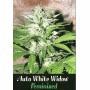 Automatic White Widow