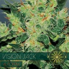 Vision Jack
