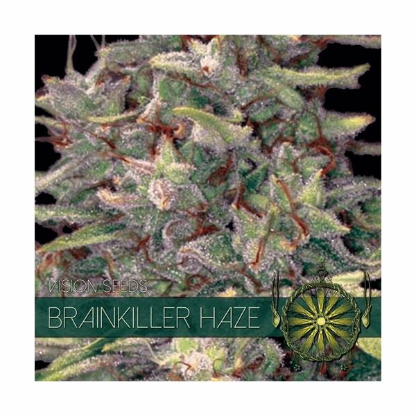 Brainkiller Haze