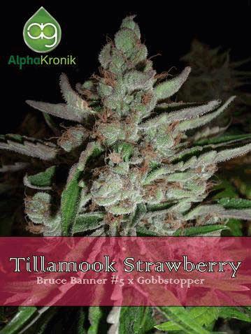 Tillamook Stawberry