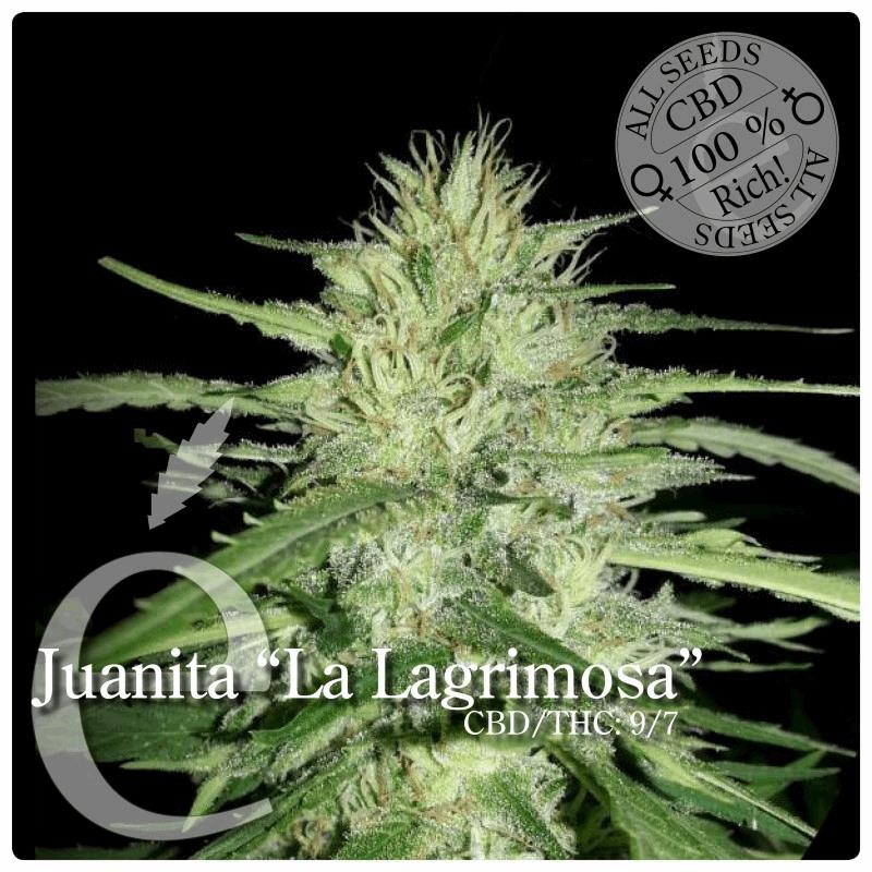 Juanita "La Lagrimosa"