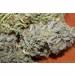 Auto UK Cheese (sdm)