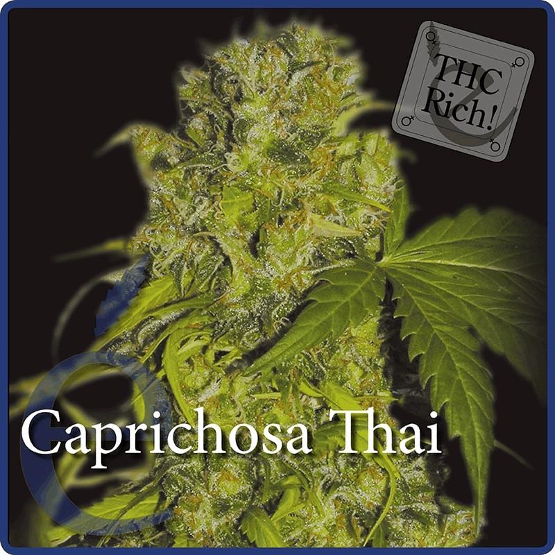 Caprichosa Thai