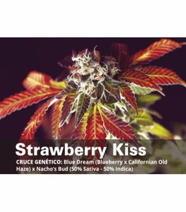 Strawberry Kiss