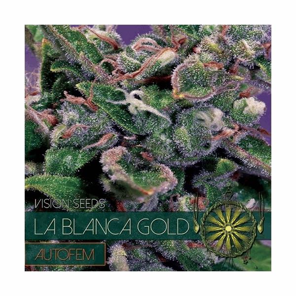 La Blanca Gold Autoflowering