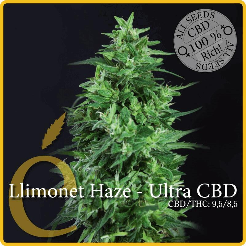 Llimonet Haze - Ultra CBD