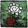 WeedyChewie