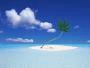 weed_île