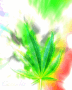 FaceWeed