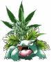 Herbman-Skank