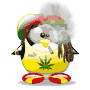 Rastafar-hide