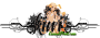 kiwi44