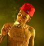 Blunt13
