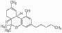 lightscribe