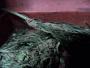 yellowratbastard