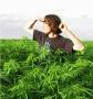 MustBeTheGanja