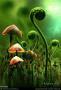 weeds-breeders