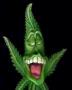 BongBastik