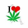 warfe
