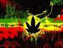 MrSpliff