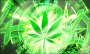 AutoGanja