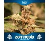 Caramel Automatic (Zam)