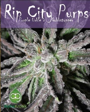 Rip City Purps