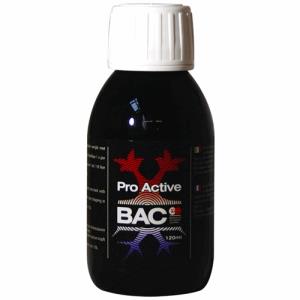 Pro Active