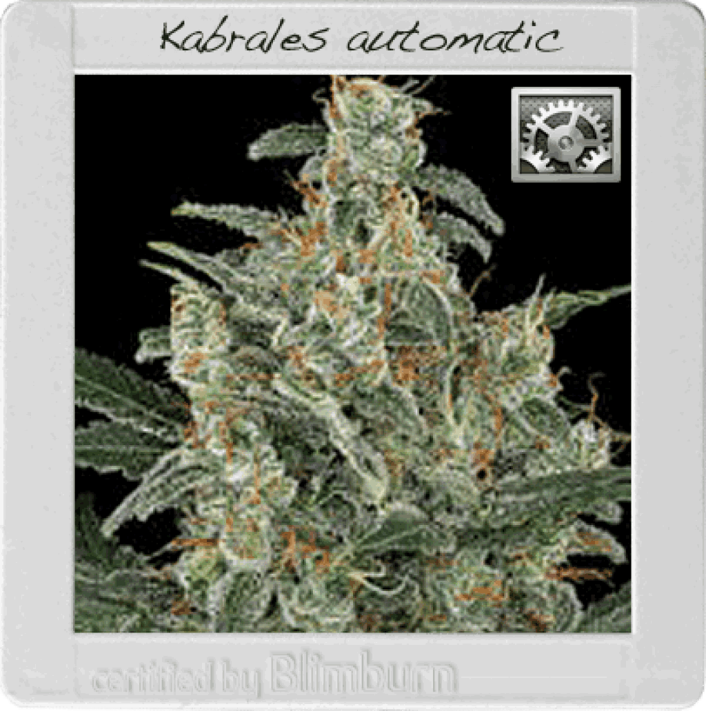 Kabrales