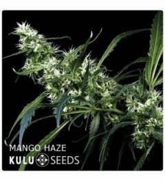 Mango (Kulu)
