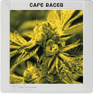 Cafe Racer