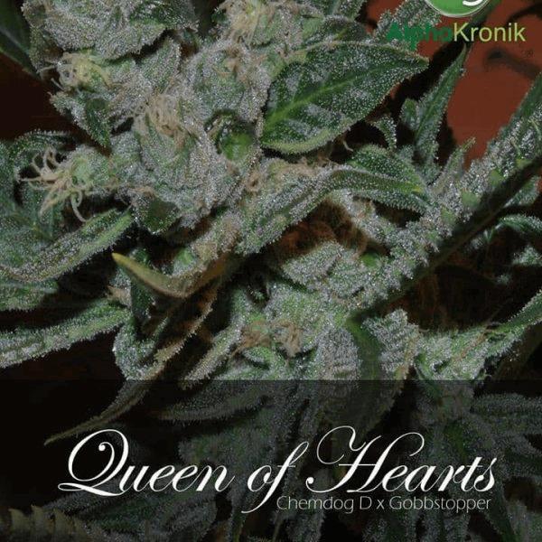 Queen of Hearts