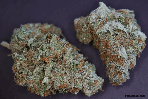 Moonshine Haze