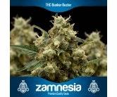 THC Bunker Buster