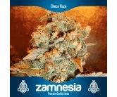 Choco Haze