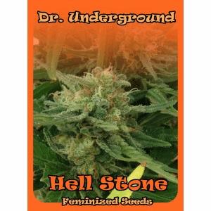Hell Stone